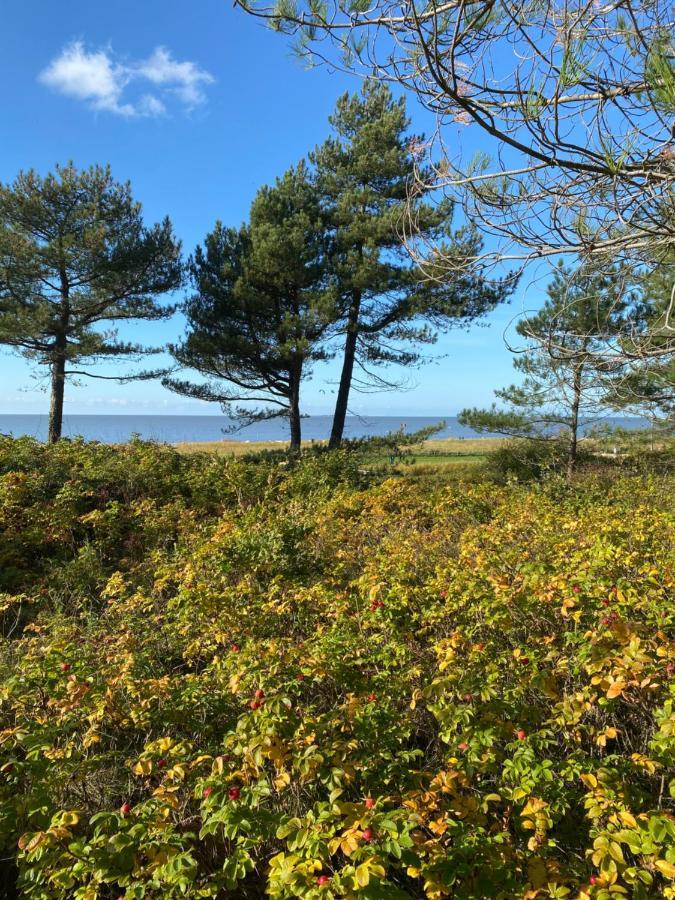 Altes Pastorenhus - Land Und Meer Osterbruch Zewnętrze zdjęcie